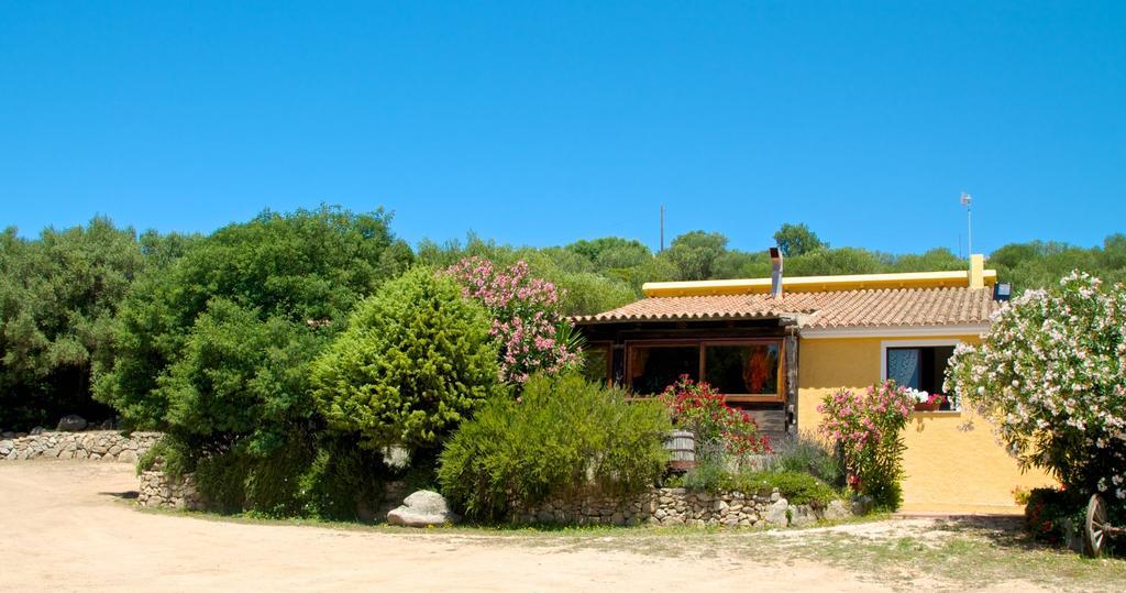 Agriturismo Sardo Villa Campavaglio Exterior photo