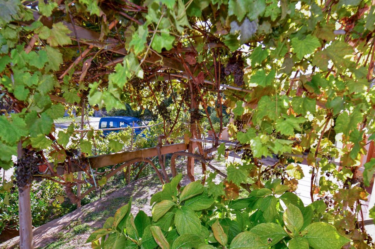 Agriturismo Sardo Villa Campavaglio Exterior photo
